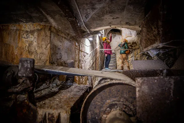 visita guiada nocturna